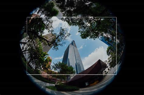 fisheye lens online|Complete Guide to the Fisheye Lens And How It Works.